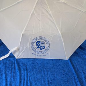 Mini Umbrella