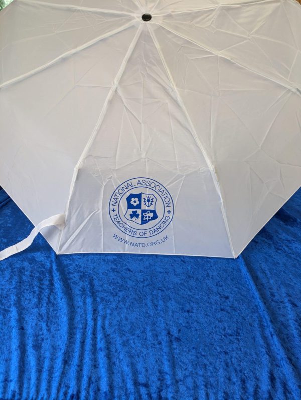 Mini Umbrella